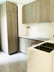 Leedon Green (D10), Condominium #421392971